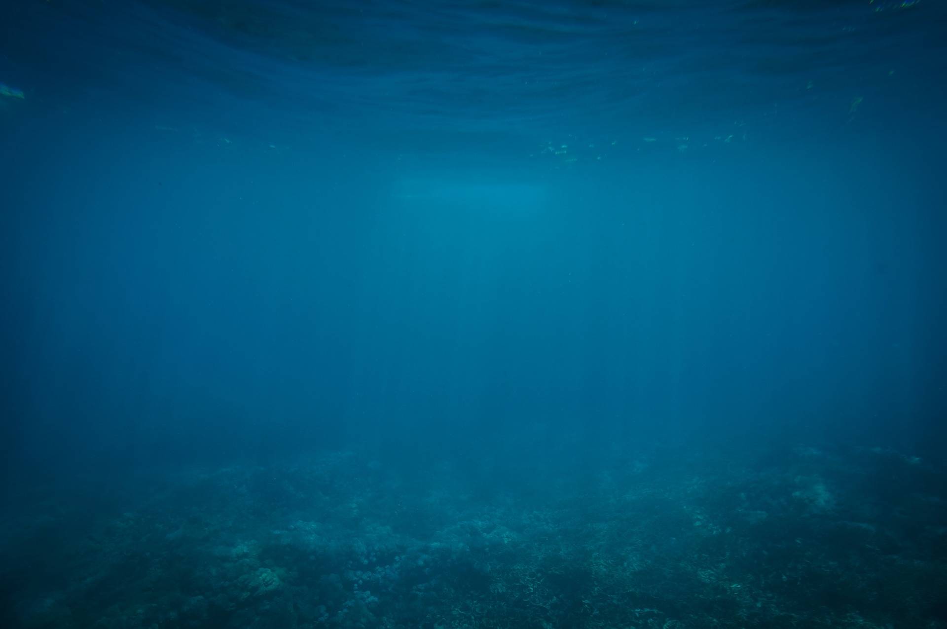 探測(cè)溶于水的二氧化碳濃度，可以探勘存在于表層海床的可燃冰